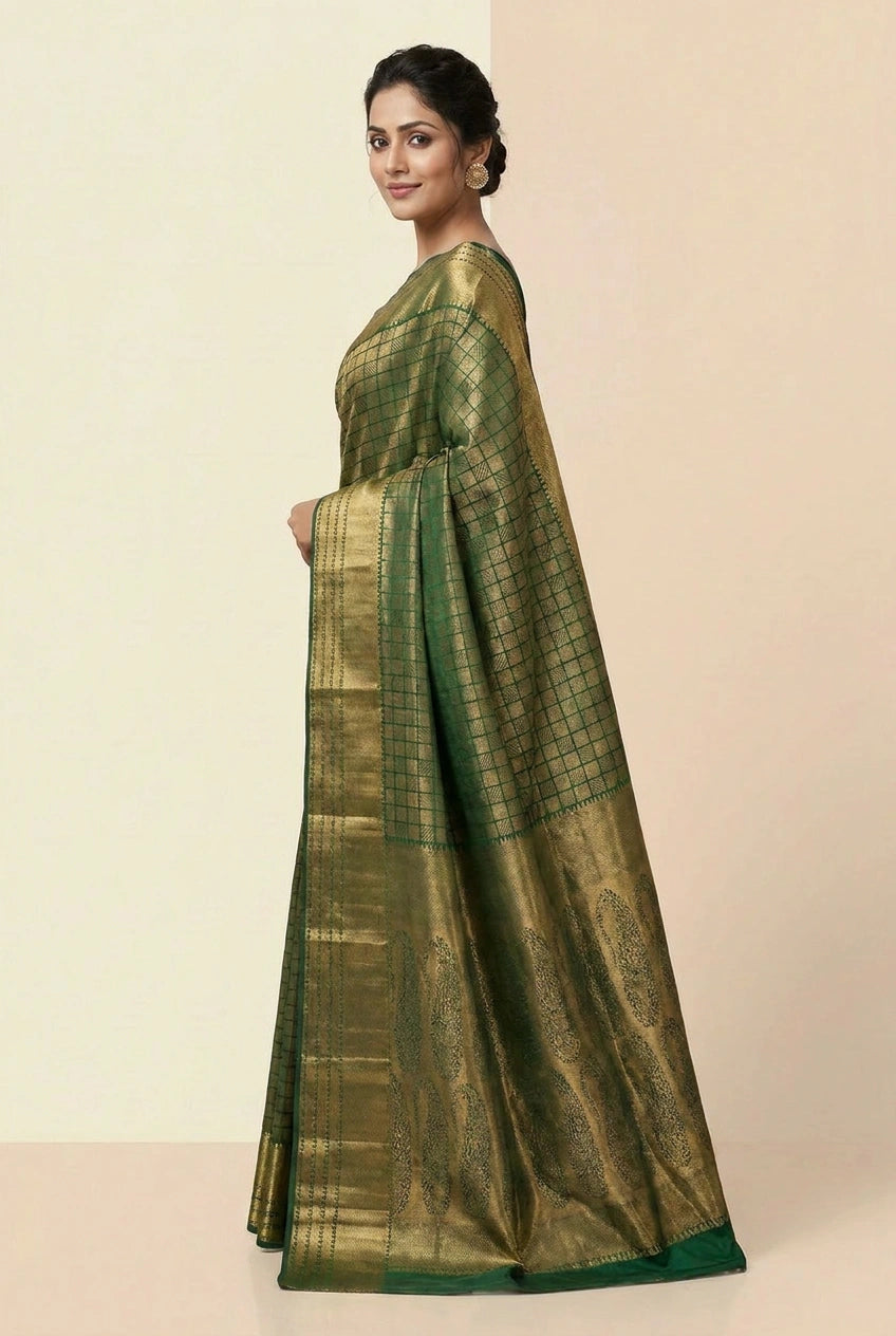 Woman wearing a green saree with a beige background
