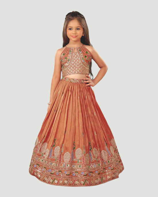 Young girl wearing a traditional embroidered dress on a plain background