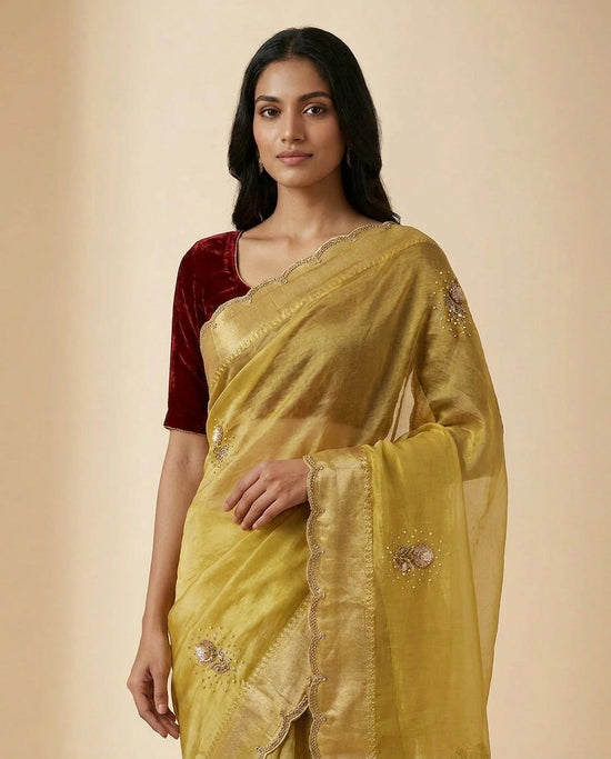 Tissue Silk Saree with Zari & Thread Embroidery