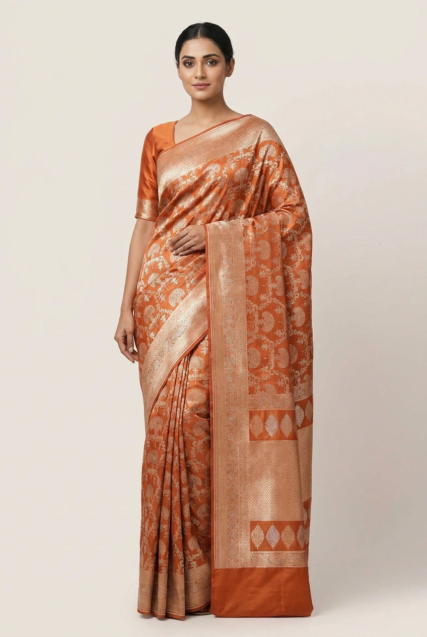 Woman wearing a traditional saree with a patterned design on a plain background