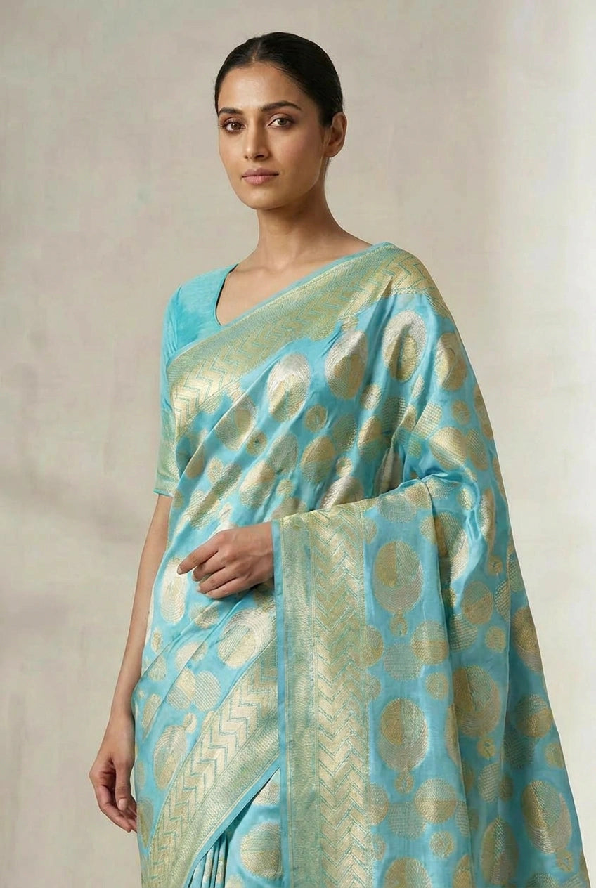 Woman wearing a light blue and green saree with a subtle pattern on a plain background