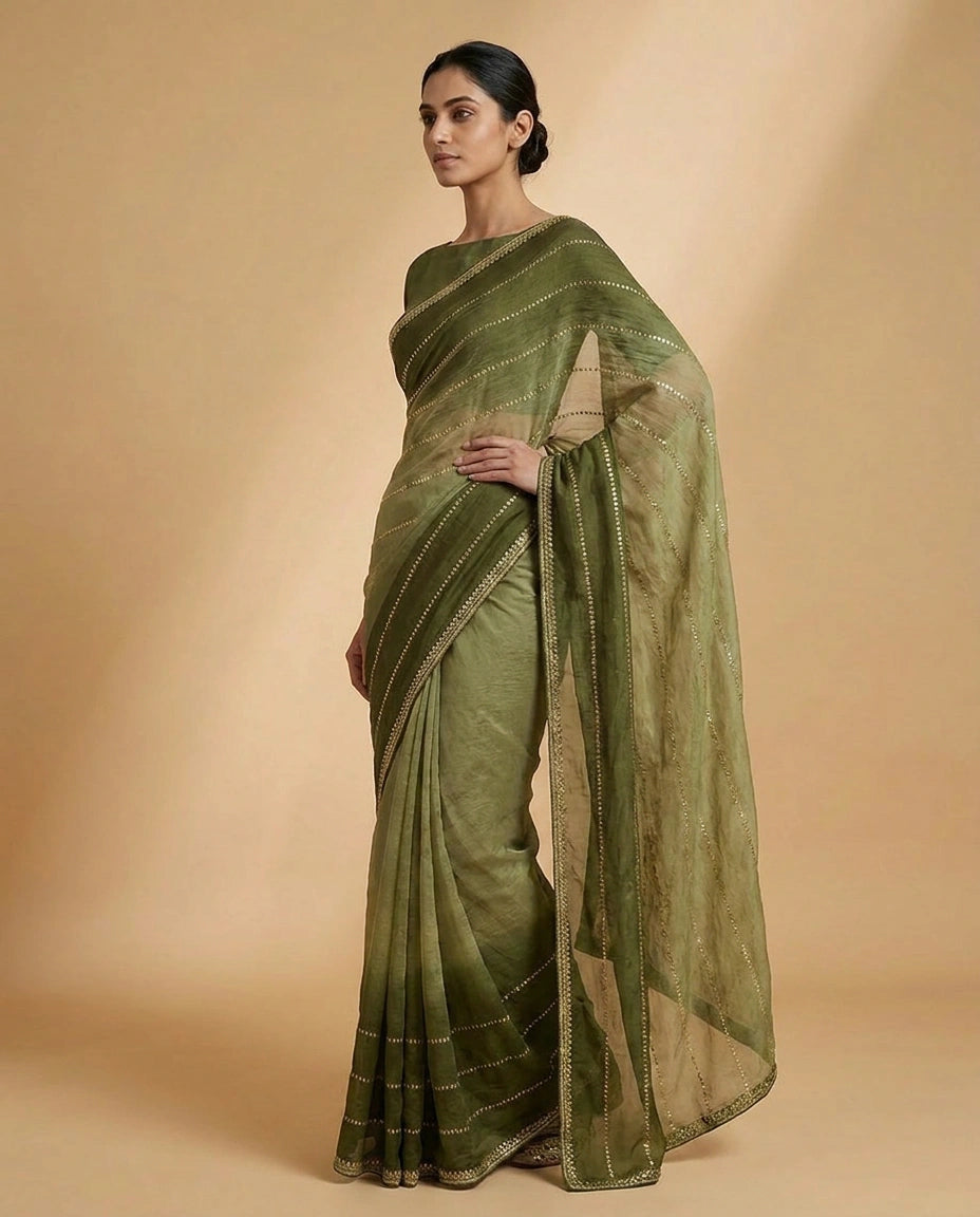 Tissue Saree with Hand-Embroidered Zari Border and Pallu view 6