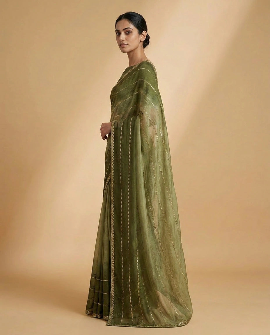 Tissue Saree with Hand-Embroidered Zari Border and Pallu view 8