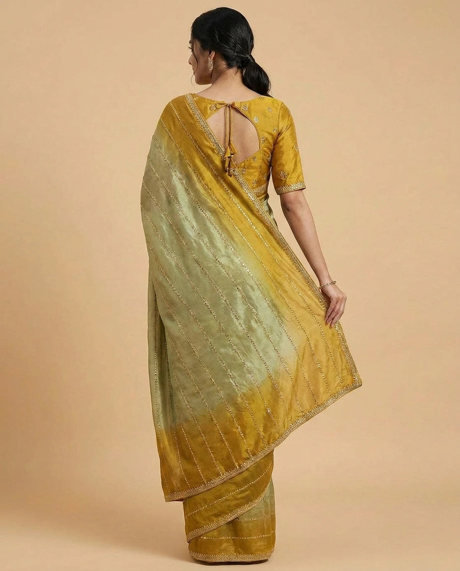 Tissue Saree with Hand-Embroidered Zari Border and Pallu view 10