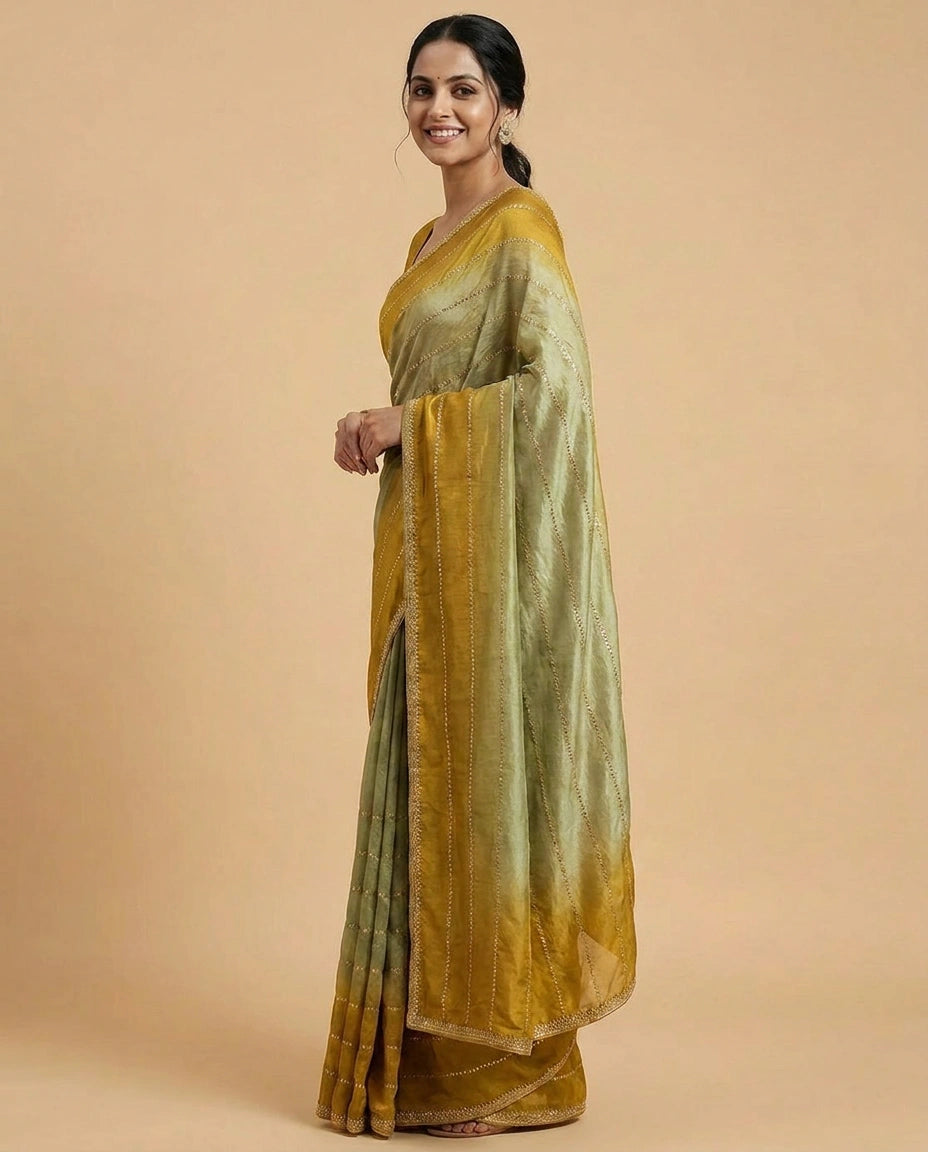 Tissue Saree with Hand-Embroidered Zari Border and Pallu view 12
