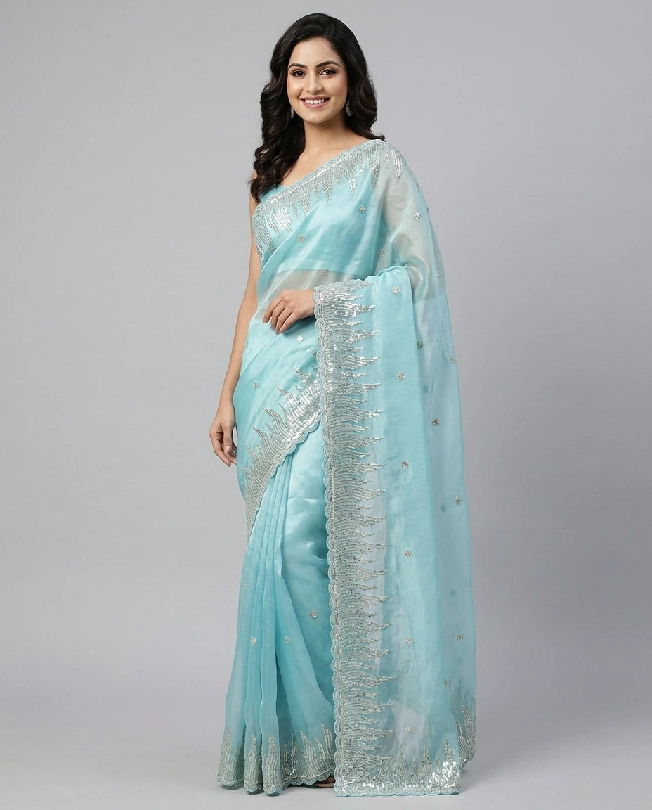 Tissue Embroidered Saree with Beaded Border - Rangoli India