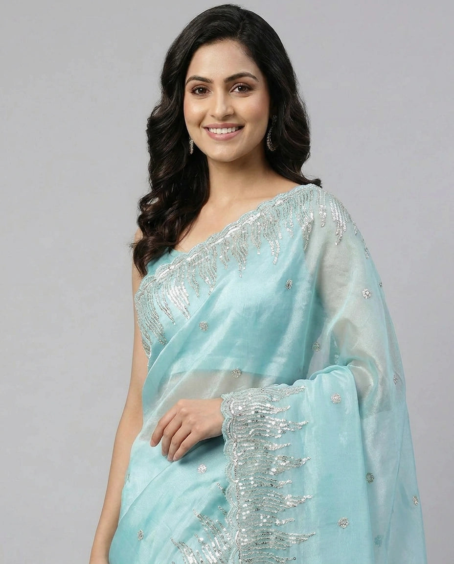 Tissue Embroidered Saree with Beaded Border - Rangoli India