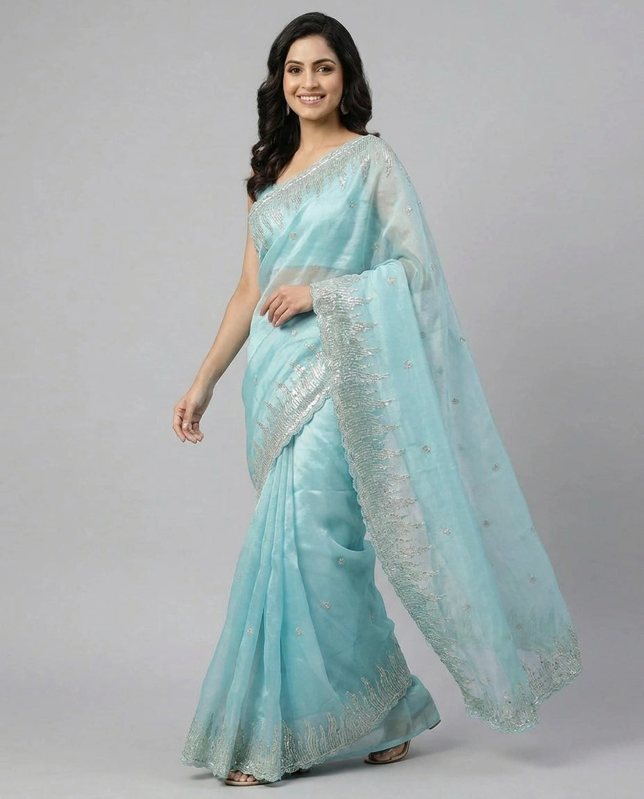 Tissue Embroidered Saree with Beaded Border - Rangoli India