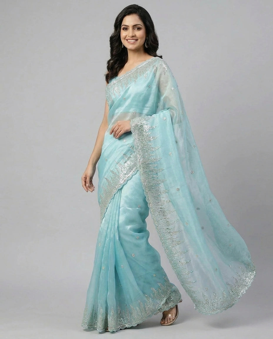 Tissue Embroidered Saree with Beaded Border - Rangoli India