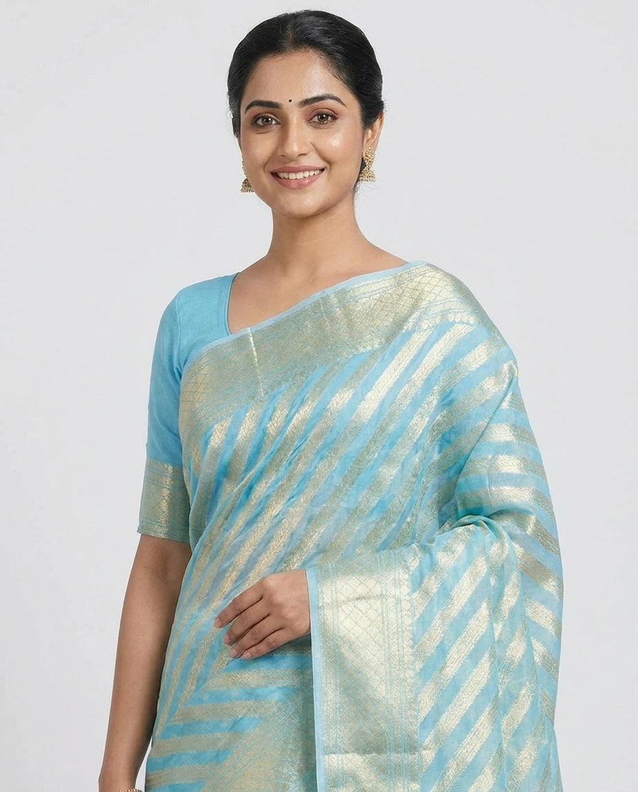 Woman wearing a light blue and green saree with a white background
