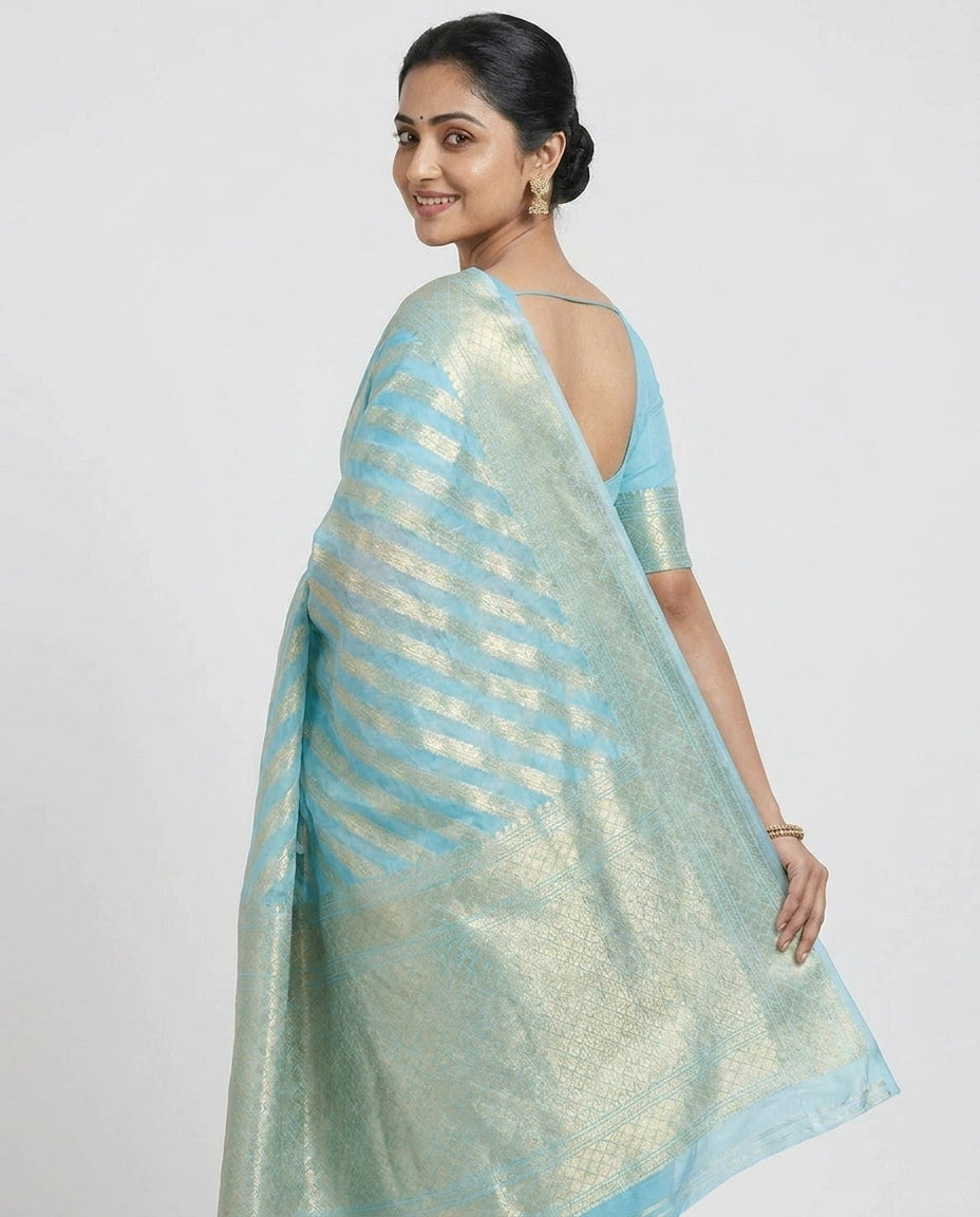 Woman wearing a light blue and green saree with a white background
