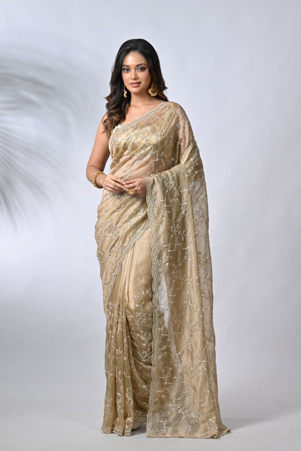 Chiku Radiance Tissue Embroidery Saree