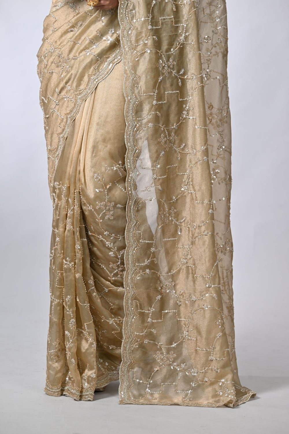 Chiku Radiance Tissue Embroidery Saree