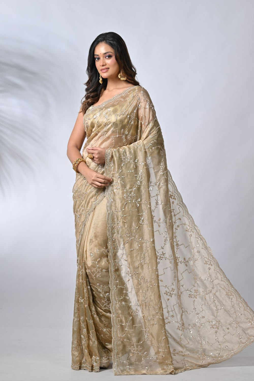 Chiku Radiance Tissue Embroidery Saree