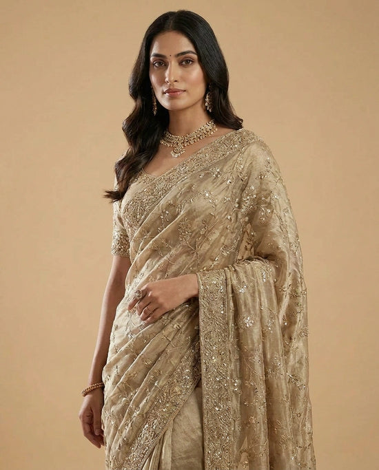 Tissue Saree with Fine Zari Embroidery across Border Work view 4