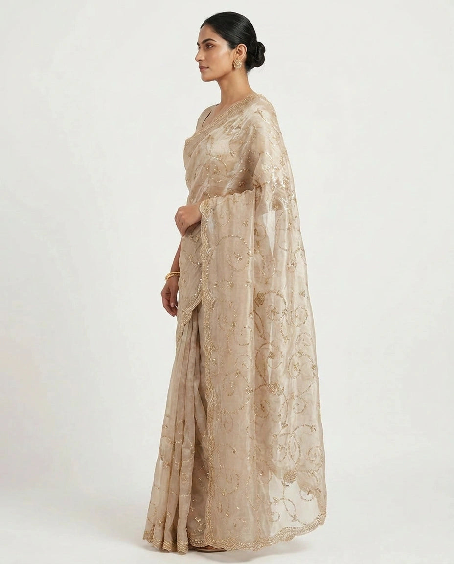 Beige Tissue Designer Saree with Hand Embroidery view 4