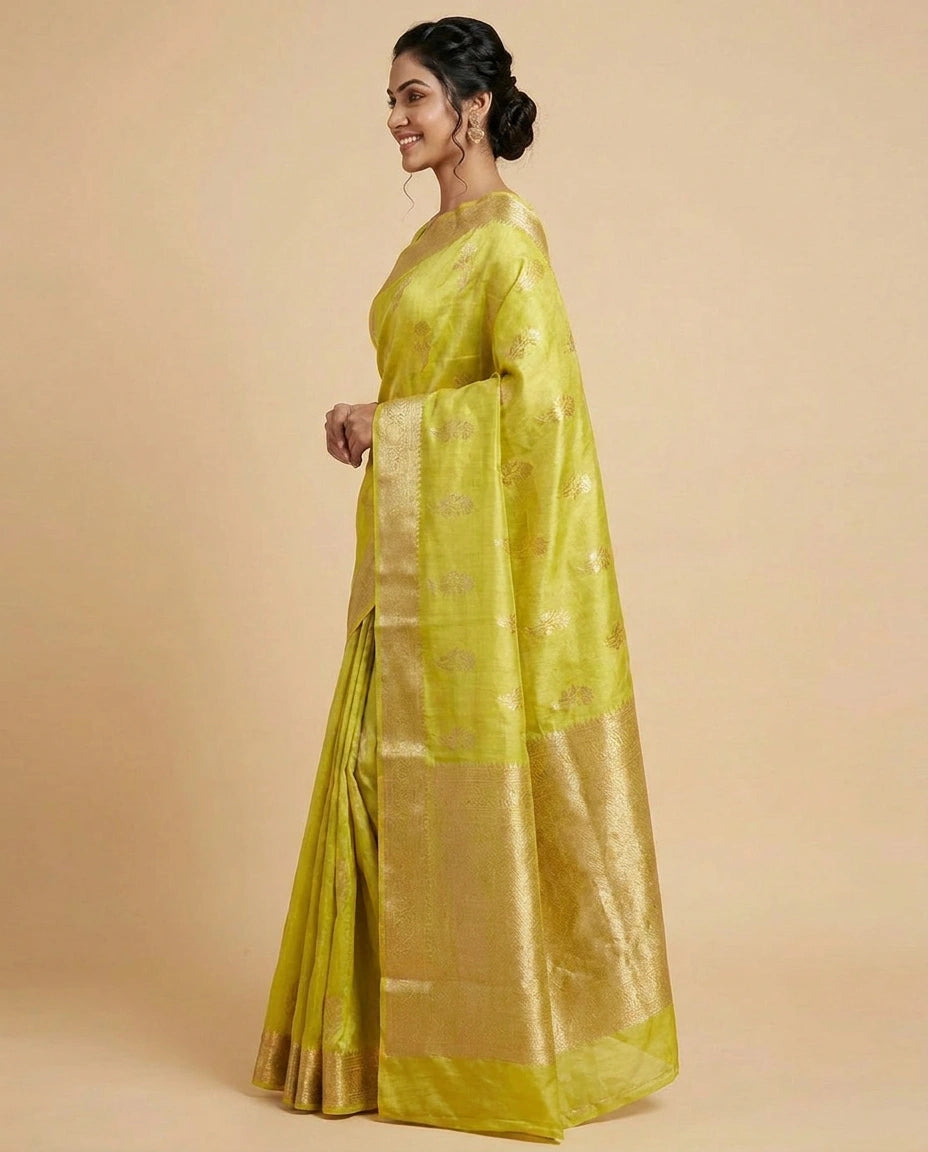 Tussar Silk Banarasi Saree with Woven Border - Rangoli India