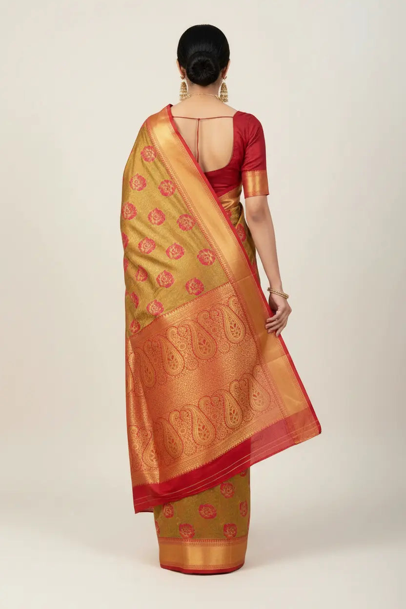 Woman wearing a traditional saree with a red blouse on a white background