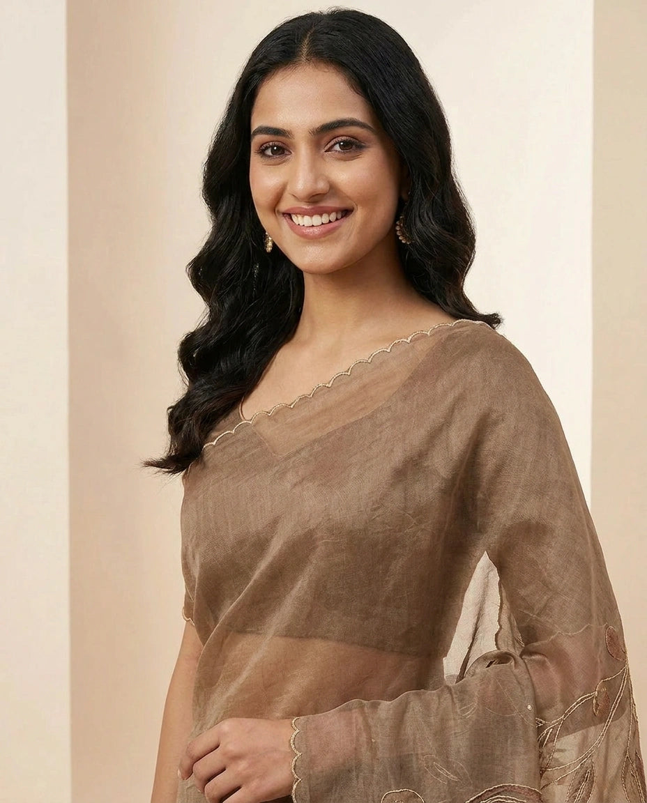Linen Tissue Saree with Ethnic Embroidery Motif and Border view 4