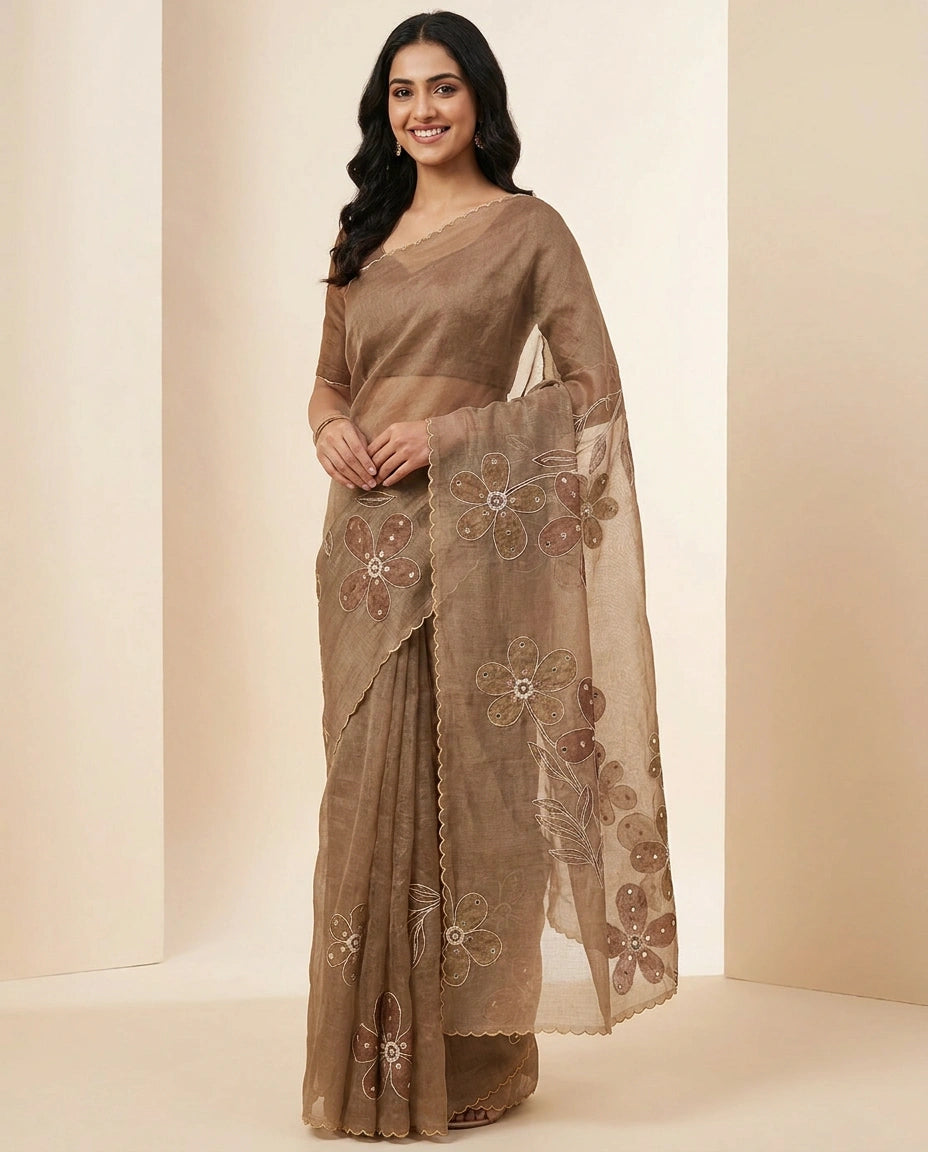 Chiku Linen Tissue Saree with Ethnic Embroidery Motif and Border