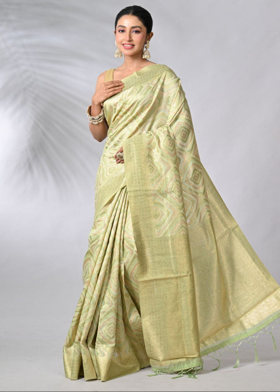 Woman wearing a light green saree against a gray background