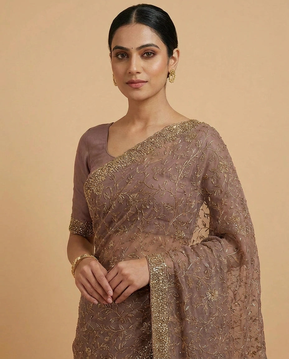 Chiffon Saree with Fine Sequin Embroidery Border and Pallu view 2