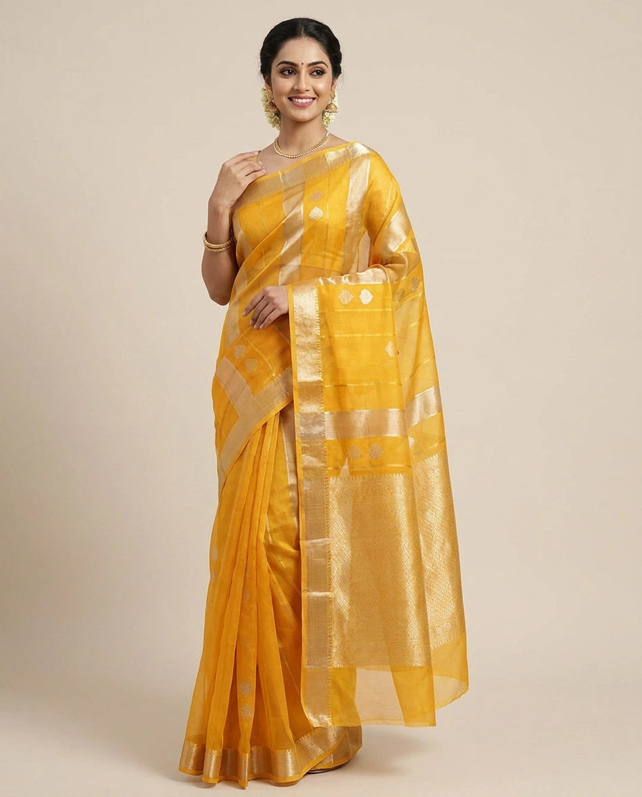 Organza Banarasi Saree with Woven Border - Rangoli India