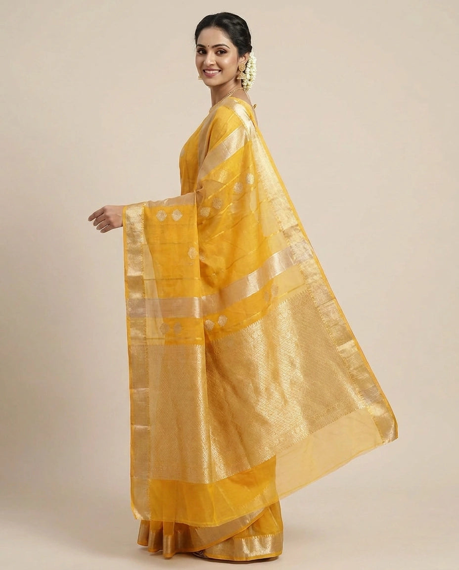 Organza Banarasi Saree with Woven Border - Rangoli India