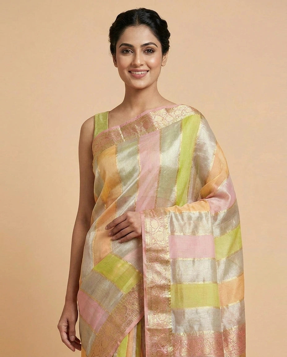 Multi-Colour Organza Banarasi Saree with Woven Border - Rangoli India
