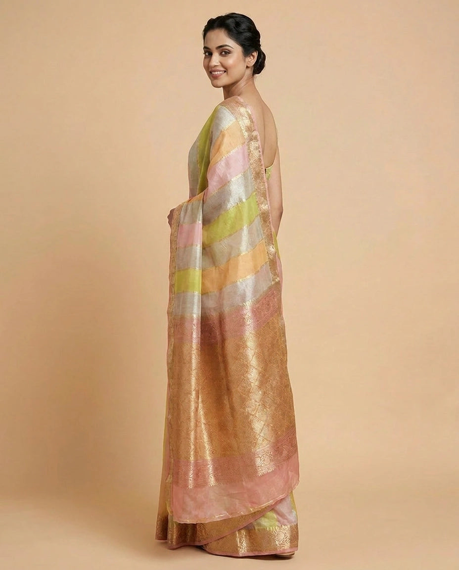Multi-Colour Organza Banarasi Saree with Woven Border - Rangoli India