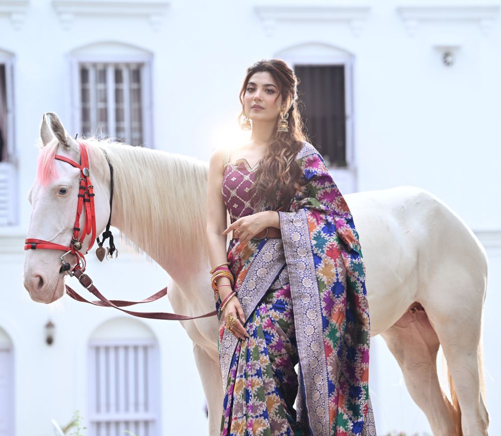 Banarasi Rangkat Katan Silk Saree