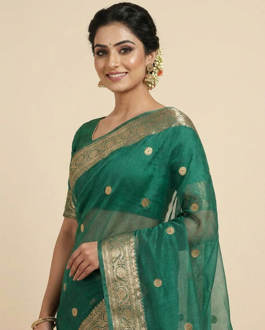 Organza Banarasi Saree with Woven Zari Border - Rangoli India