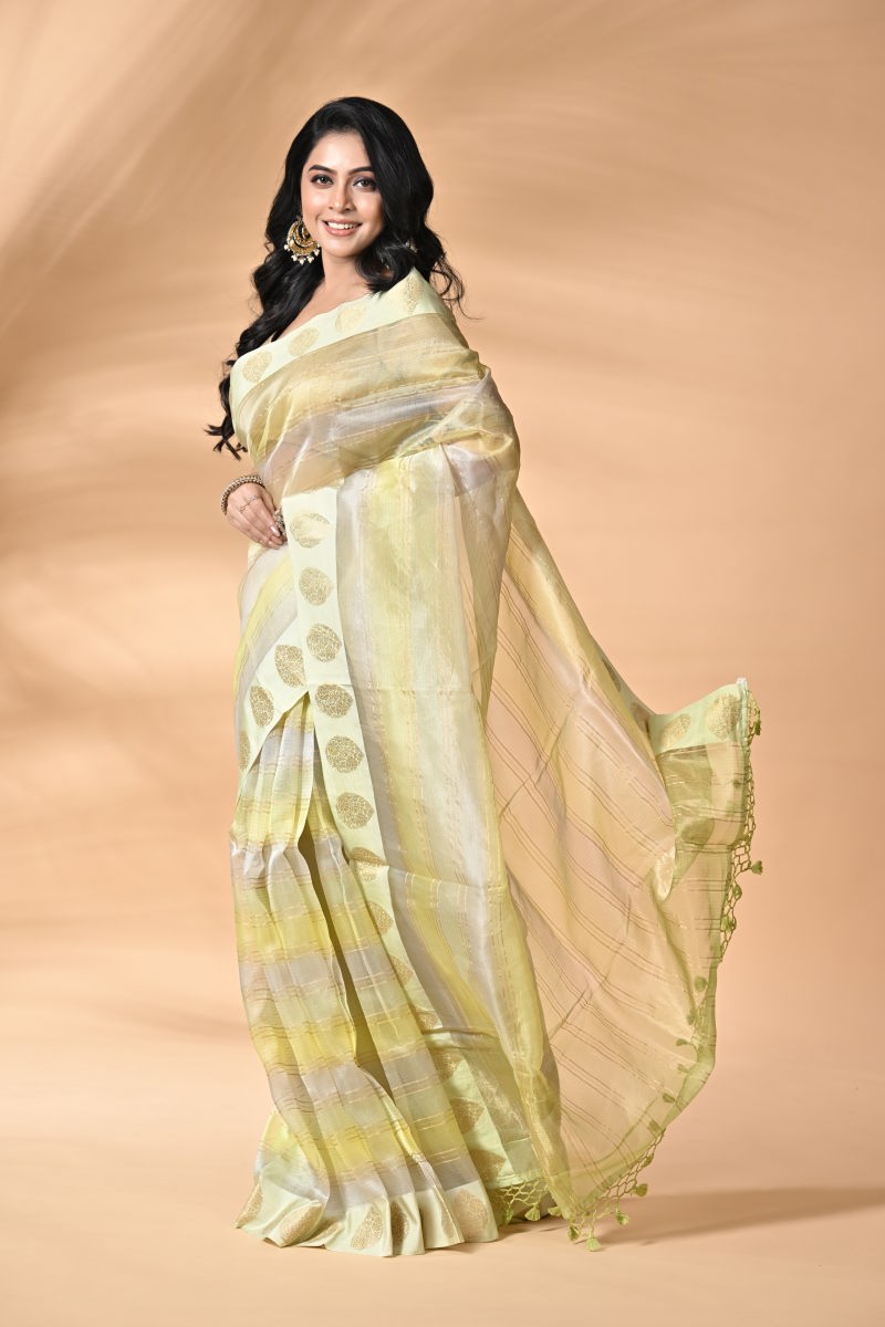 Sea Green Organza Silk Saree