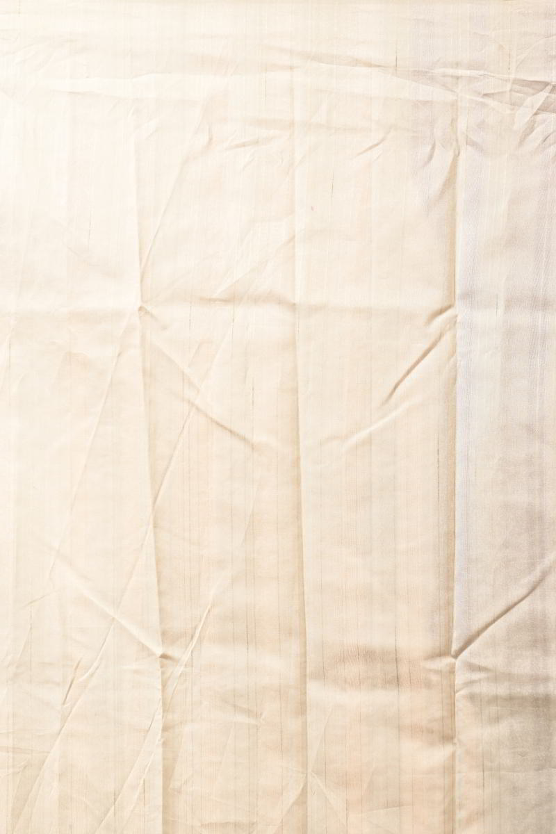 Beige Tussar Silk Saree