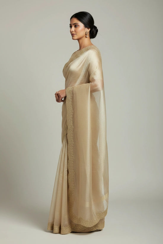 Handcrafted Tissue Embroidery Saree - Rangoli Sarees