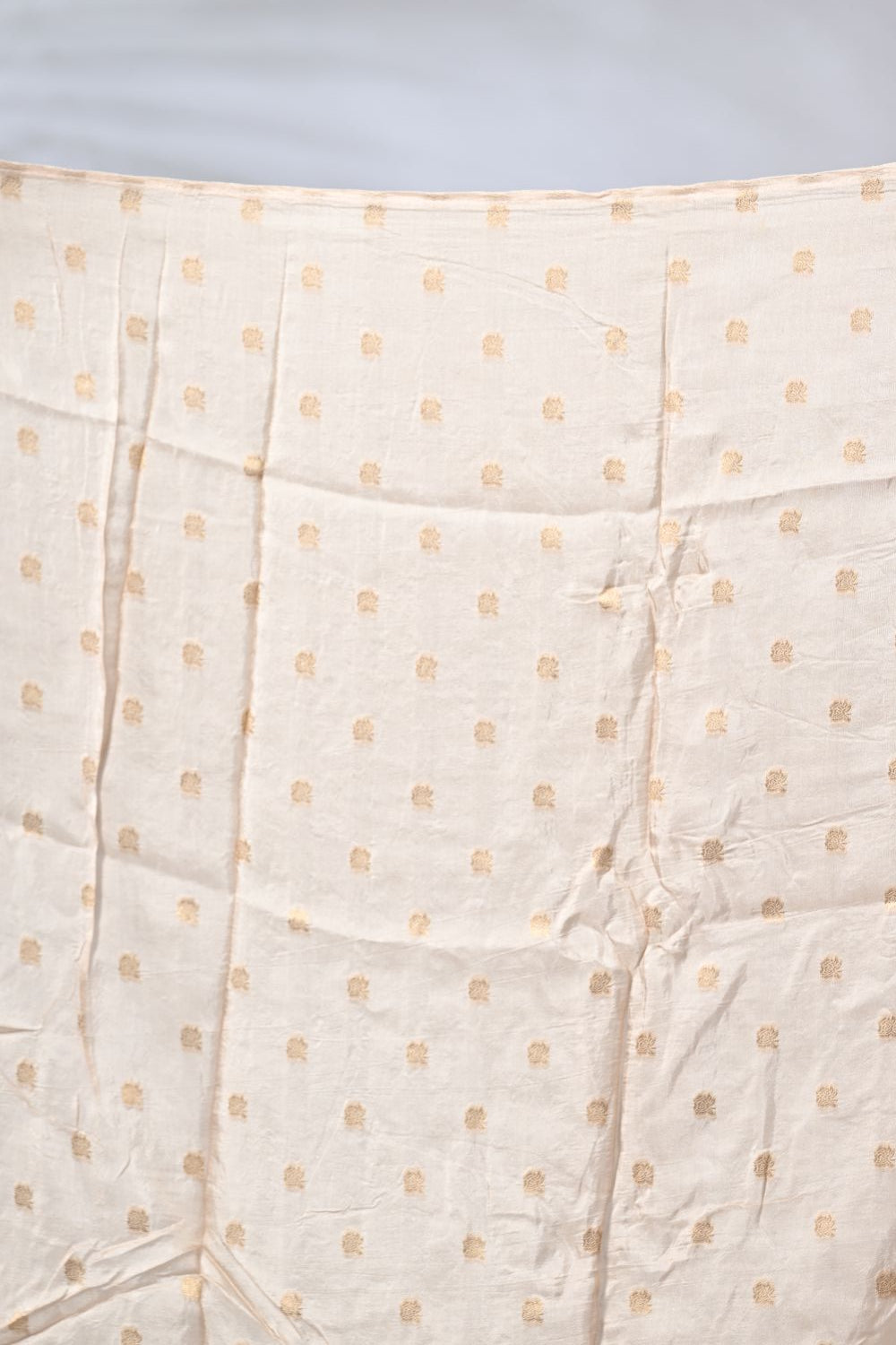 Beige Dola Silk Saree