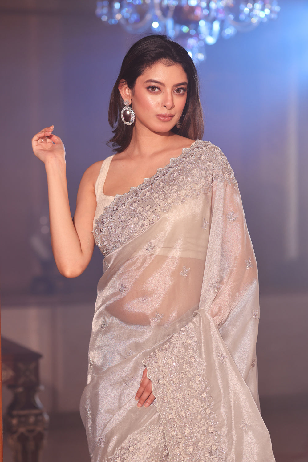 Silver Tissue Silk Saree